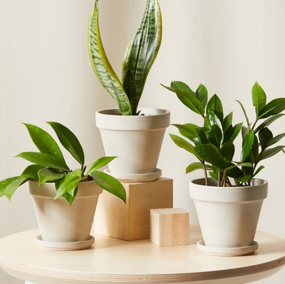 Hey, I'm Sydney! - Picture 2 of 3